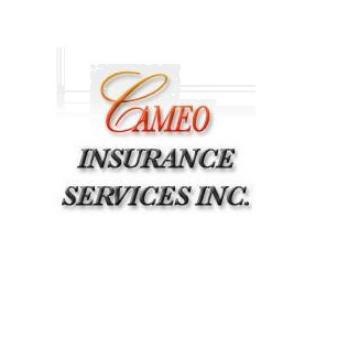 CAMEO INSURANCE SERVICES INC