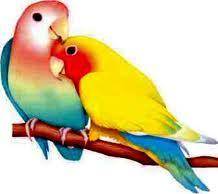 WeAreAfriend Mistersun